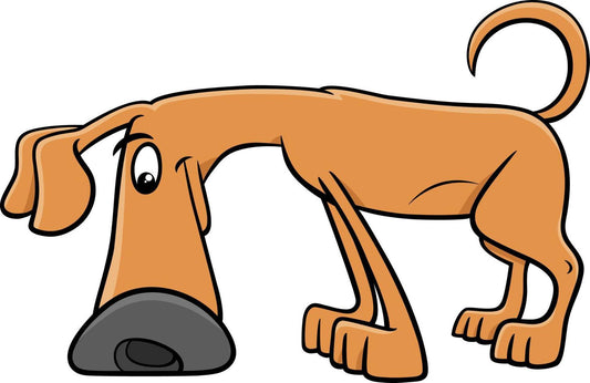 LE CHIEN LIT DANS L'AIR