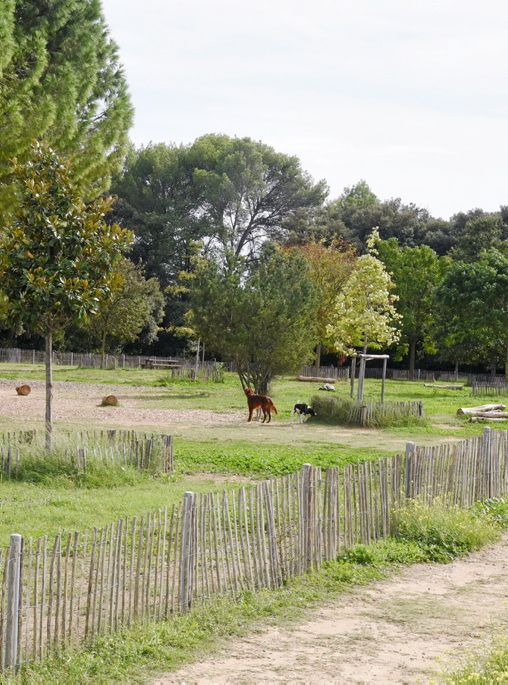 LES PARCS CANINS EN VILLE