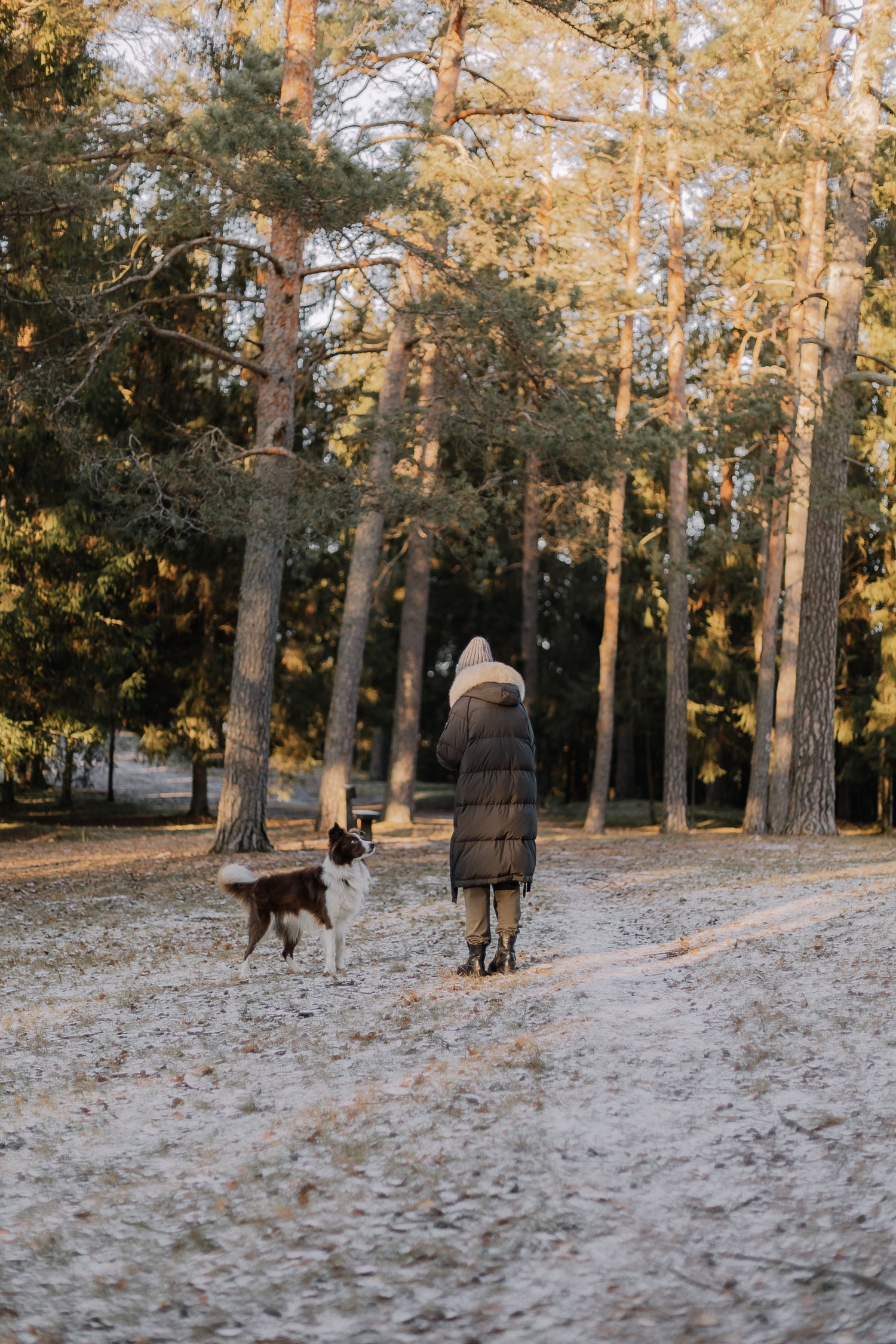 Femme promenant son chien dans la fôret